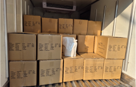 2026년 1월 29일 프랜더마코스매틱 지원