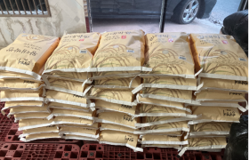 2025년 11월 19일 안심정사 지원