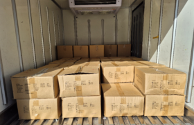 2026년 3월 13일 주식회사 프랜더마 지원