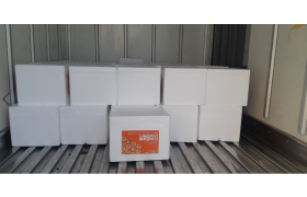 2025년 12월 11일 KT&G 지원